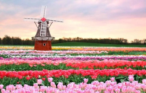 人到中年才懂：真正逼垮你的，从来不是生活，而是这3样东西