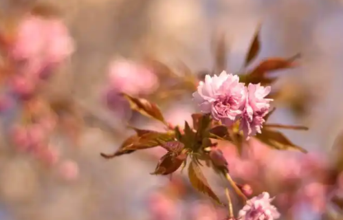 两个人断联后，如果是这种状态，多半还爱