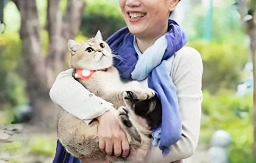 叶檀抗癌成功！她澄清两大谣传，后悔不该丁克，有两大人生奢望 