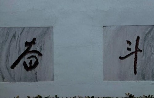 心念一转，百病皆消，真正治愈你的，从来不是时间