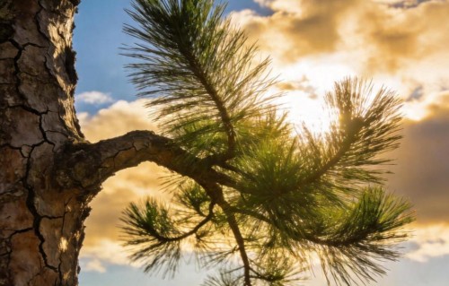 真正狠的报复不是撕破脸，做到这5句话你就彻底赢了