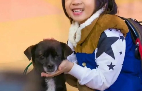 林志颖16岁儿子Kimi正脸照曝光 阳光少年引热议