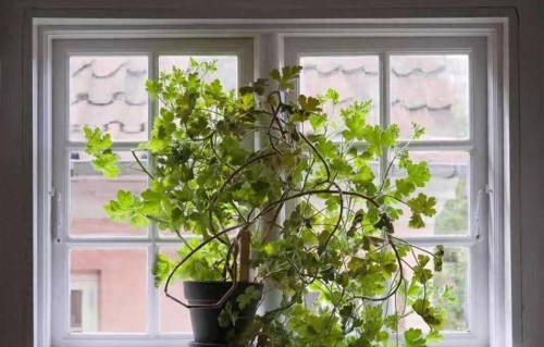 酒桌上称兄道弟，酒桌下谁认识谁：戳穿成年人最大的社交谎言