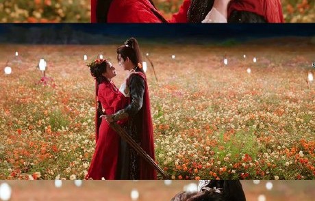 《白日提灯》的“女强男弱”人设为何能获得观众好评？