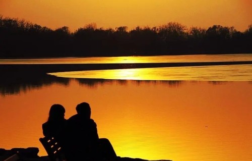 后来才懂，所有的不辞而别，都是蓄谋已久的放下