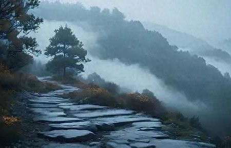 人过半生才明白：最好的人生，是静而不争，淡而无忧