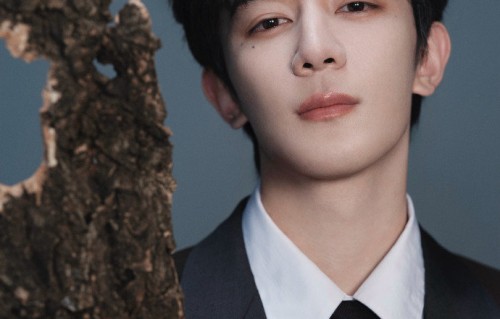 夏之光北影节开幕式烟雾造型亮相|北京国际电影节|氛围感西装|西装|夏之光西装|红毯造型