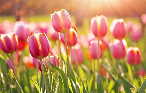 认清一个人后，最好的方式，是不沟通